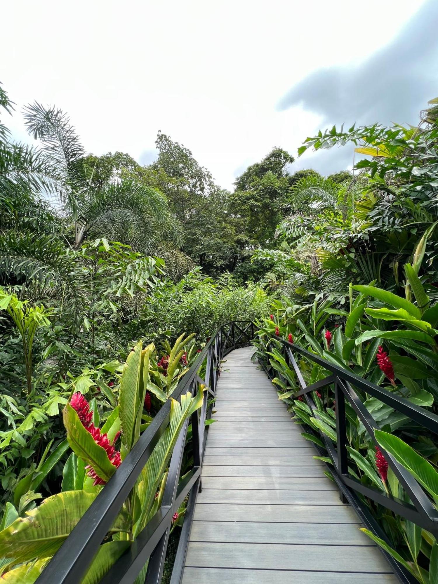 Hotel Boutique Casa Del Rio La Fortuna Eksteriør bilde